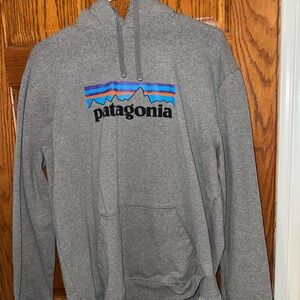 Patagonia Gray Pullover Hoodie with Multicolor Mountain Logo